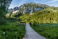 Pfostenbild