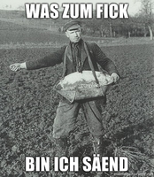 Pfostenbild