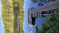 Pfostenbild