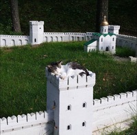 Pfostenbild