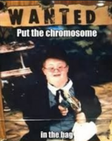 Pfostenbild