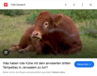 Pfostenbild