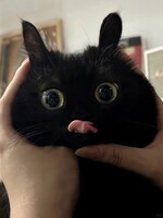 Pfostenbild