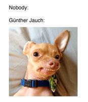 Pfostenbild