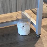 Pfostenbild