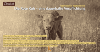 Pfostenbild
