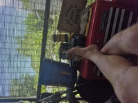 Pfostenbild
