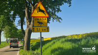 Pfostenbild